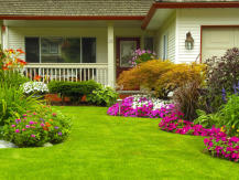 Une technique pour créer le jardin de vos rêves