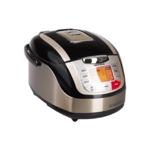 Redmond MasterFry FM4502