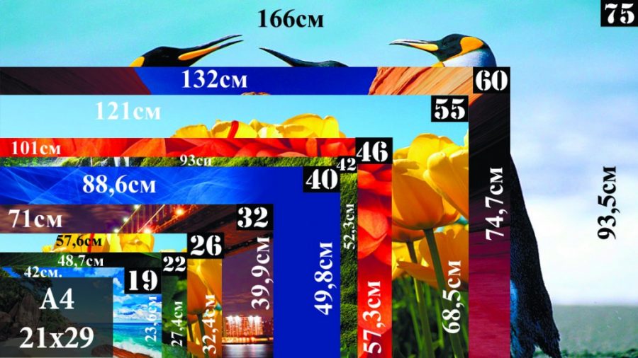 le concept de la taille et de la diagonale de la télévision