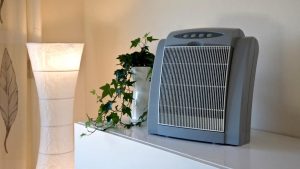 purificateur d'air d'allergie