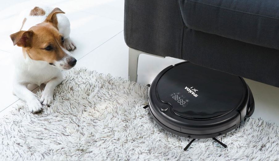 choisir un aspirateur pour un appartement avec des animaux